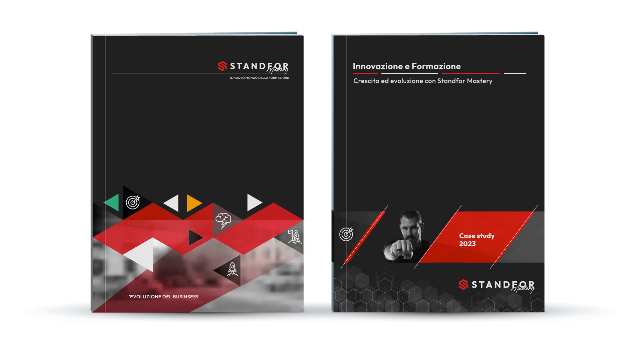 brand_identity_standfor_mastery9